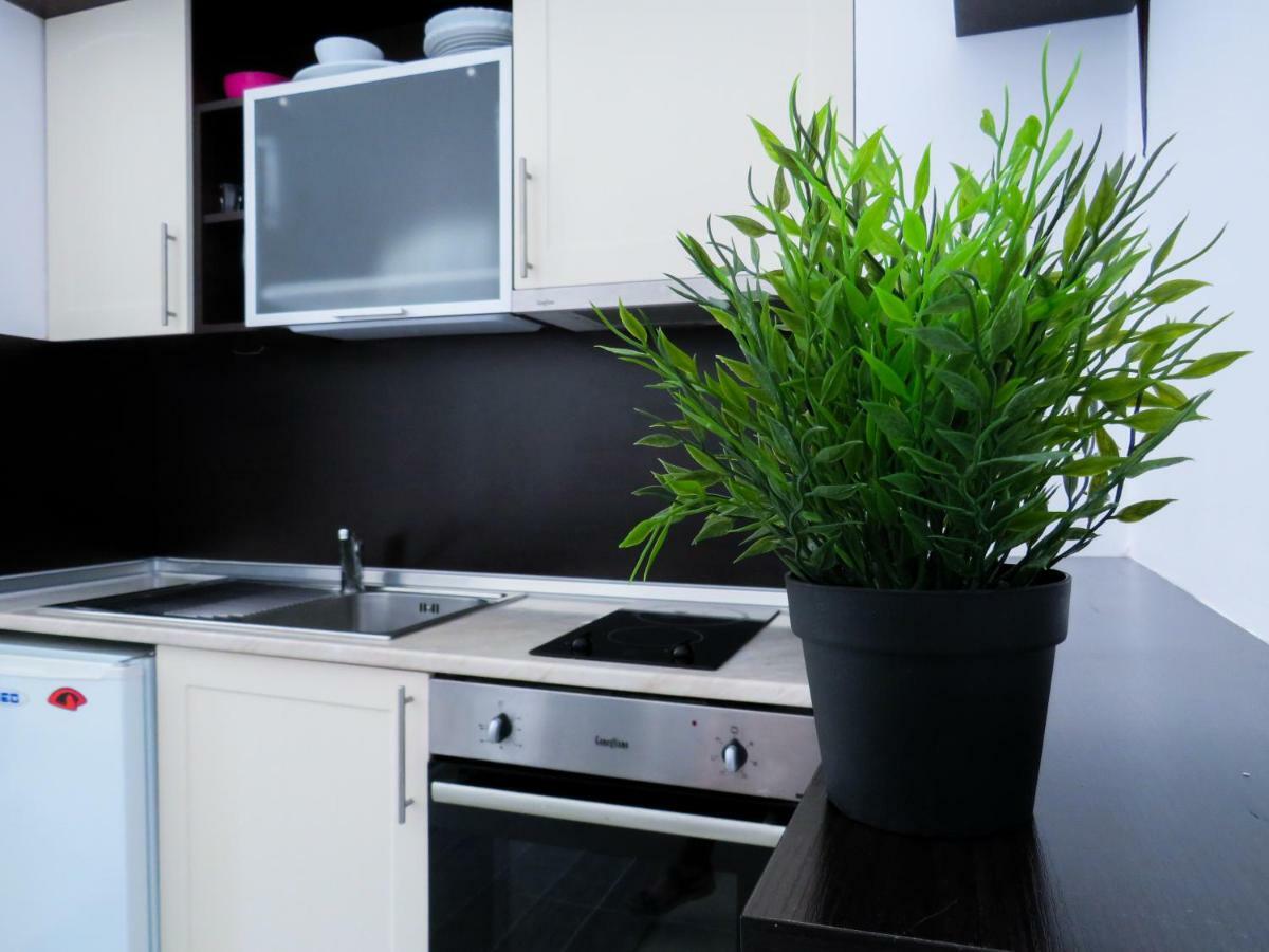 Flora Daisy Apartment Nr 28 Borovets Buitenkant foto